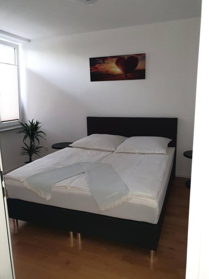 Business Apartment Turgi エクステリア 写真