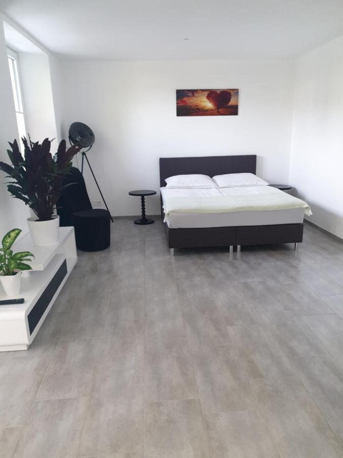 Business Apartment Turgi エクステリア 写真